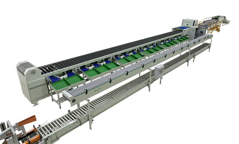 images/1697539853221apple optical sorting grading machine.jpg